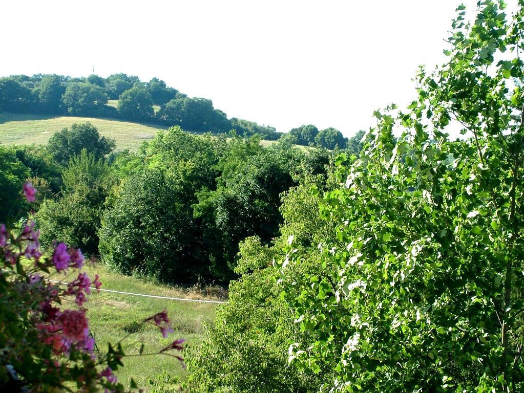 Aparthotel La Francigena Staggia
